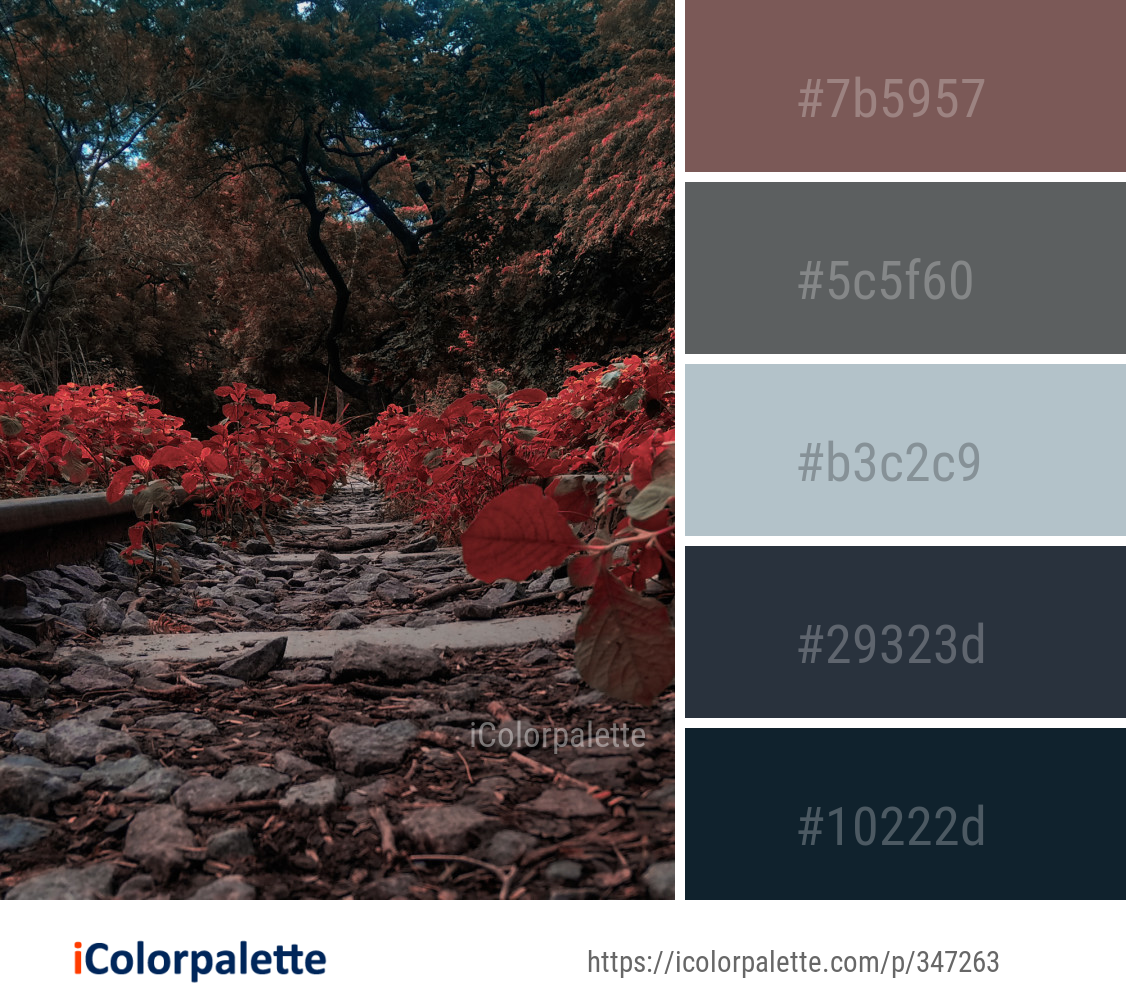 Color Palette Ideas from Nature Leaf Tree Image