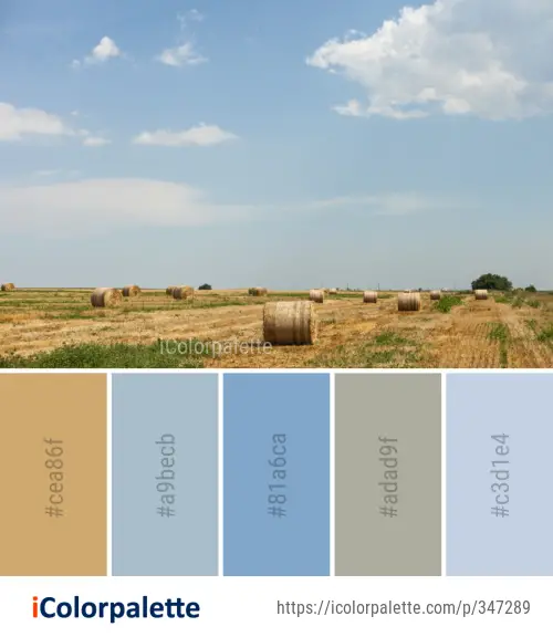 Color Palette Ideas from Sky Hay Field Image