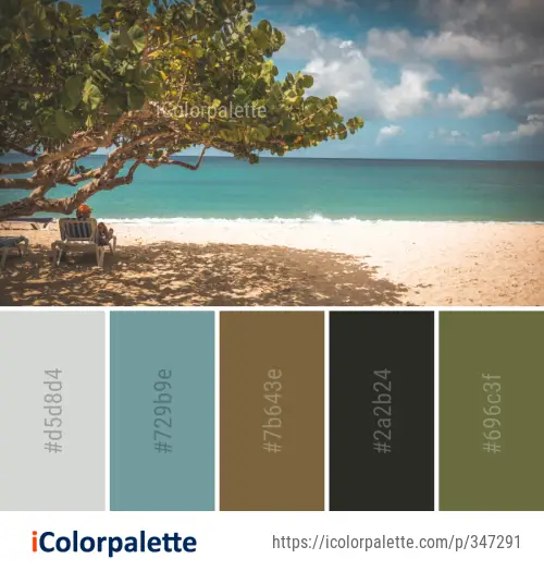 Color Palette Ideas from Body Of Water Shore Sky Image