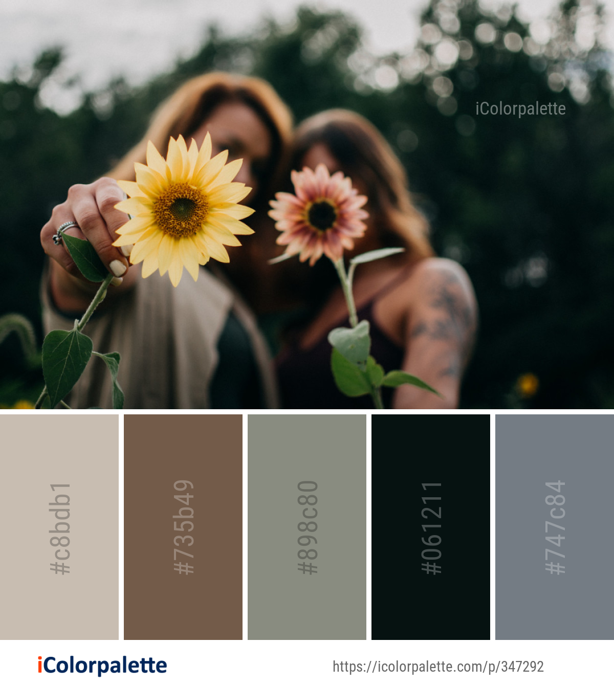 Color Palette Ideas from Flower Yellow Plant Image