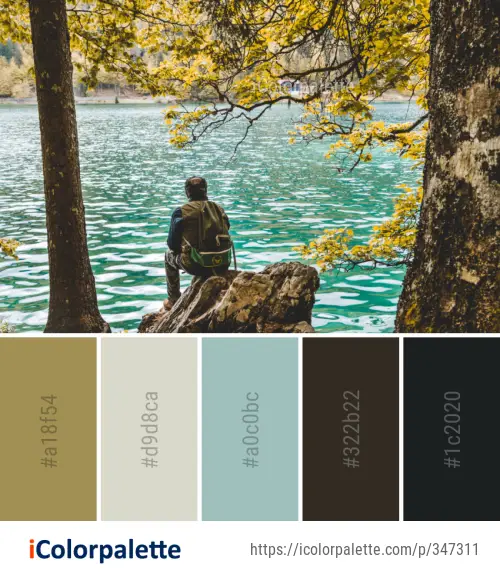 Color Palette Ideas from Water Nature Reflection Image