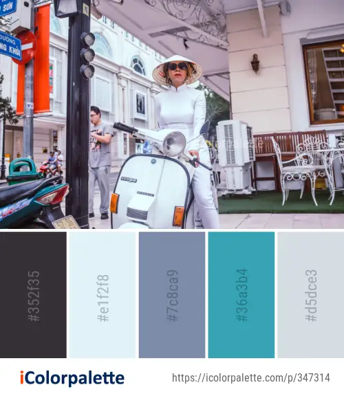 Color Palette Ideas from Vehicle Street Costume Image