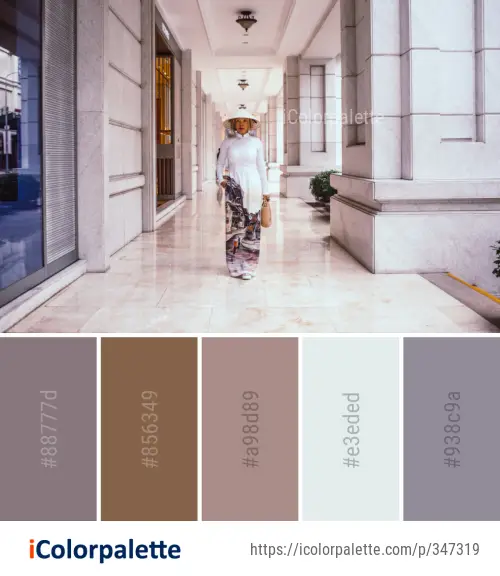 Color Palette Ideas from Interior Design Floor Flooring Image