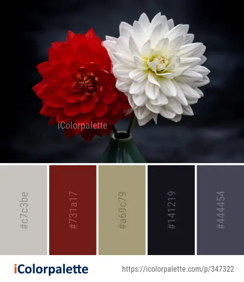 Color Palette Ideas from Flower Red Flowering Plant Image