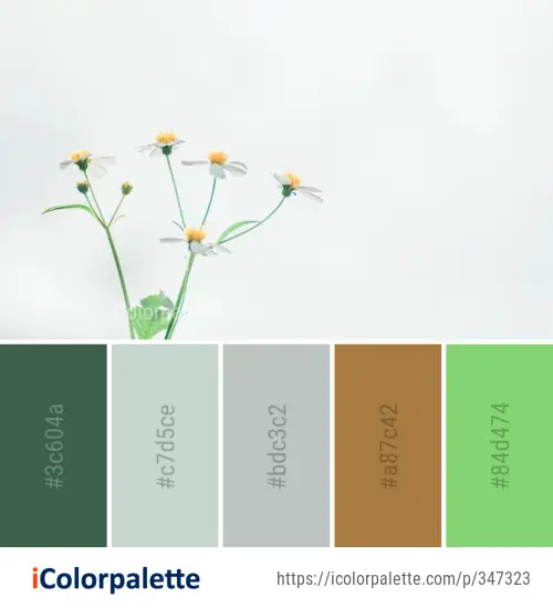 Color Palette Ideas from Flower Yellow Flora Image