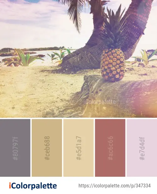 Color Palette Ideas from Sky Arecales Palm Tree Image