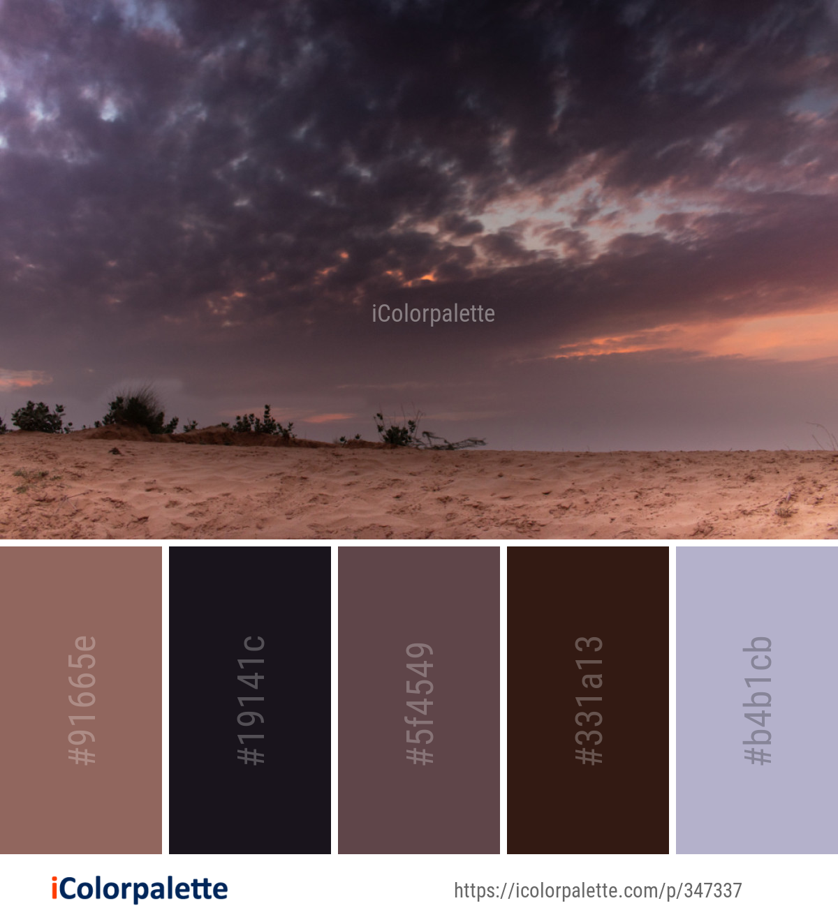 Color Palette Ideas from Sky Cloud Horizon Image