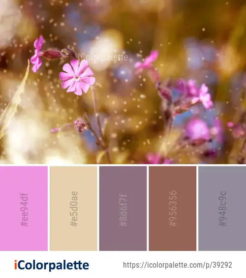 Color Palette Ideas from Nature Purple Close Up Image