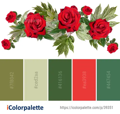 Color Palette Ideas from Flower Garden Roses Rose Image