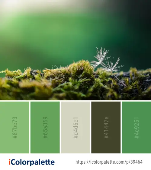 Color Palette Ideas from Vegetation Macro Photography Close Up Image