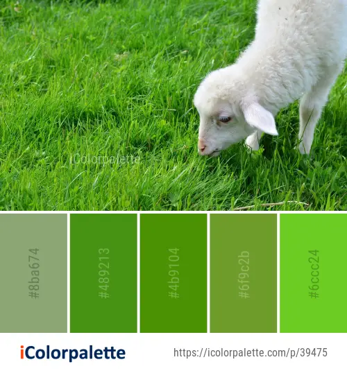Color Palette Ideas from Grass Grassland Dog Breed Image