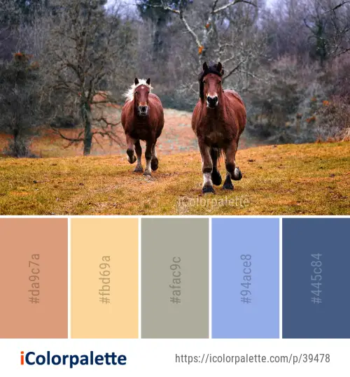 Color Palette Ideas from Horse Pasture Ecosystem Image
