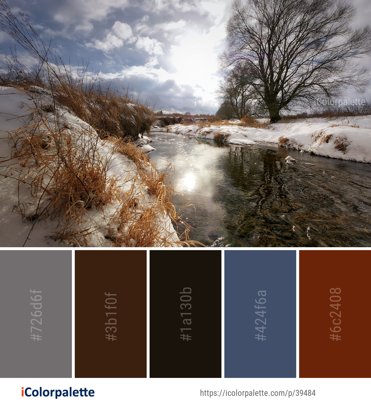 Color Palette Ideas from Snow Water Winter Image