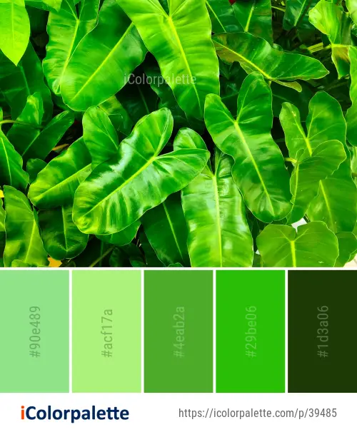 Color Palette Ideas from Green Leaf Plant Image