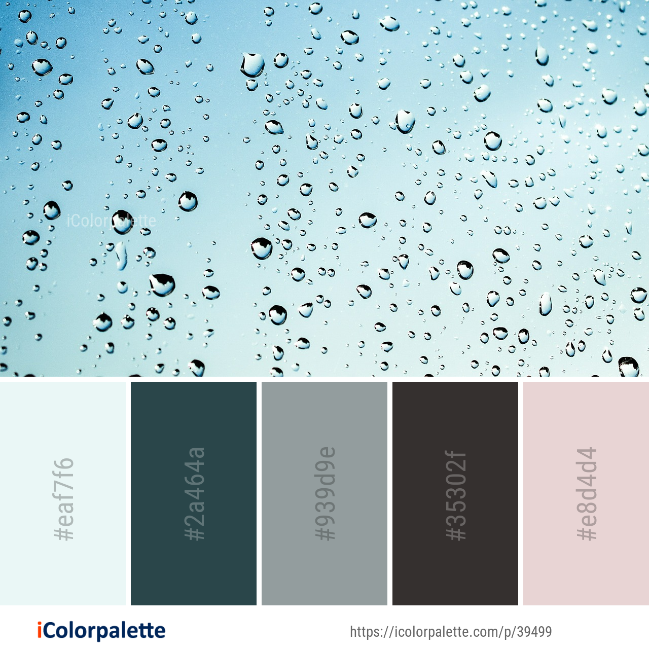Color Palette Ideas from Sky Drop Water Image