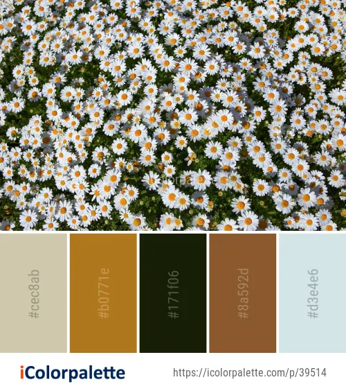 Color Palette Ideas from Flower Plant Flowering Image