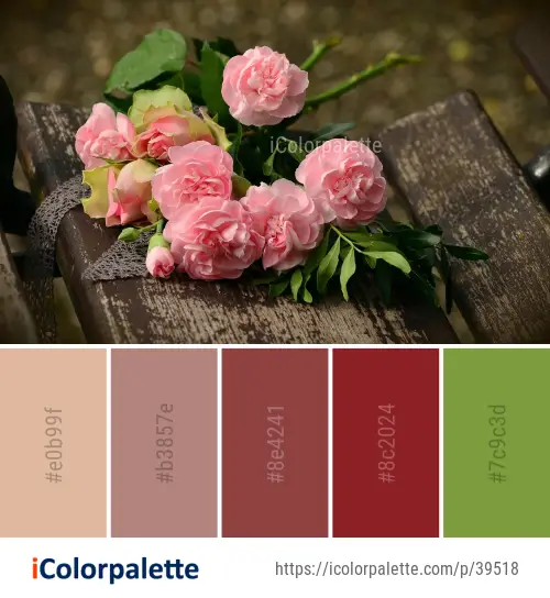 Color Palette Ideas from Flower Pink Flowering Plant Image