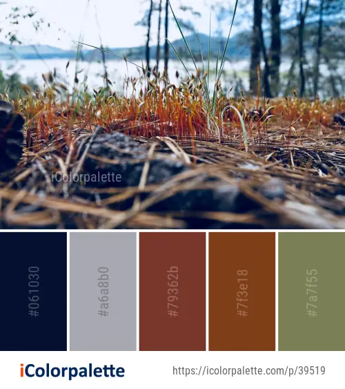 Color Palette Ideas from Branch Grass Family Image