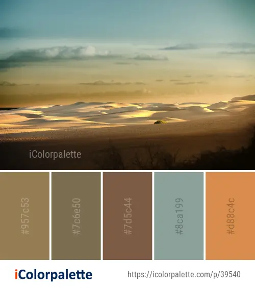 Color Palette Ideas from Sky Horizon Ecosystem Image