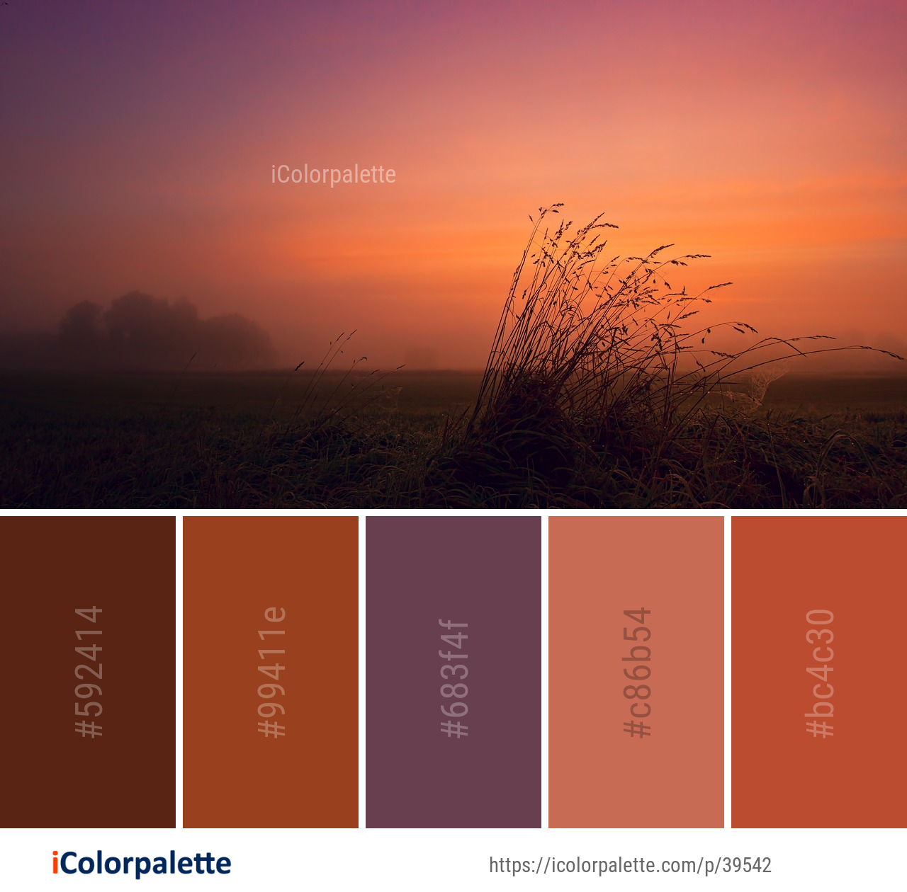 Color Palette Ideas from Sky Red At Morning Afterglow Image
