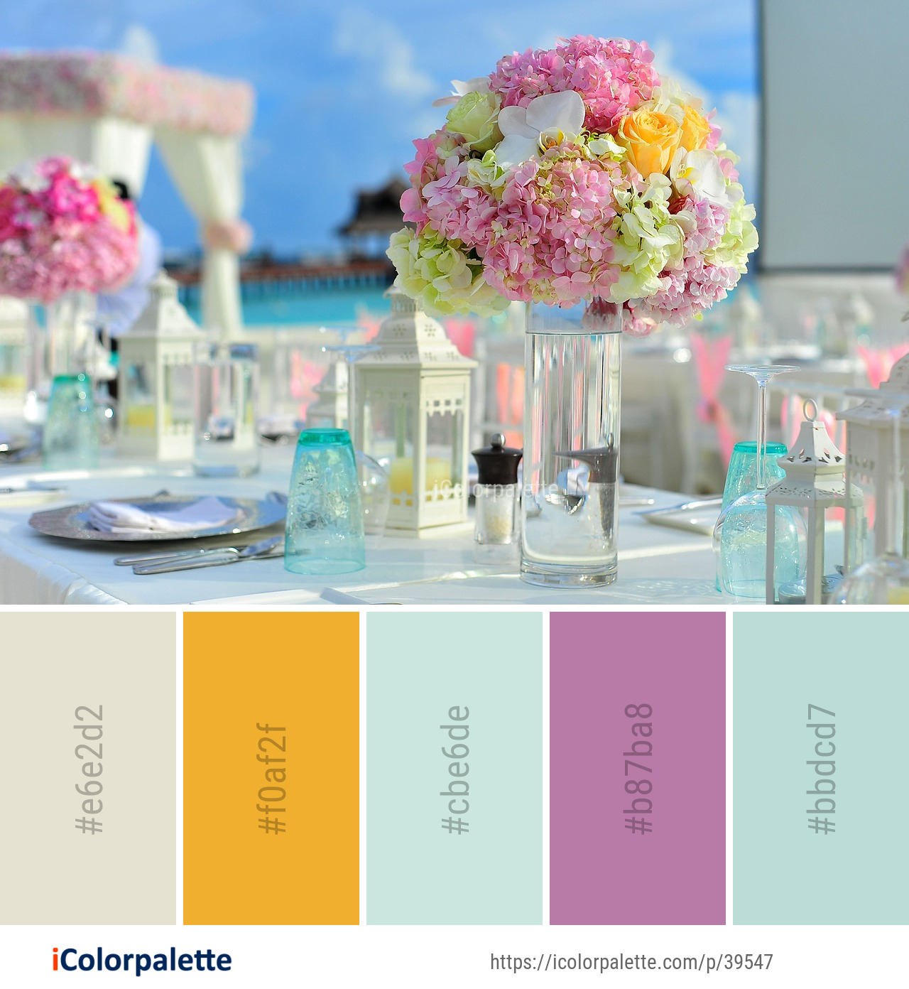 Color Palette Ideas from Flower Arranging Pink Image