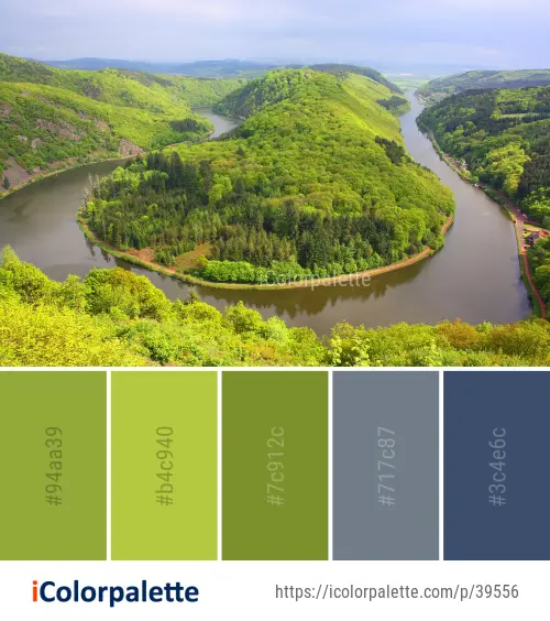 Color Palette Ideas from Nature Vegetation Green Image