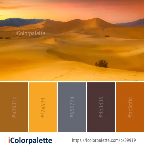Color Palette Ideas from Erg Desert Aeolian Landform Image | iColorpalette