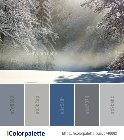 Color Palette Ideas from Winter Snow Frost Image | iColorpalette