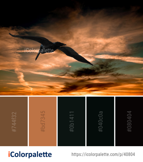 Color Palette Ideas from Sky Atmosphere Cloud Image | iColorPalette