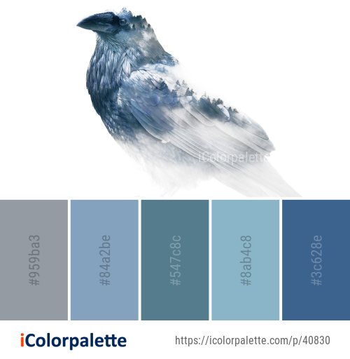 Color Palette Ideas from Bird Beak Feather Image