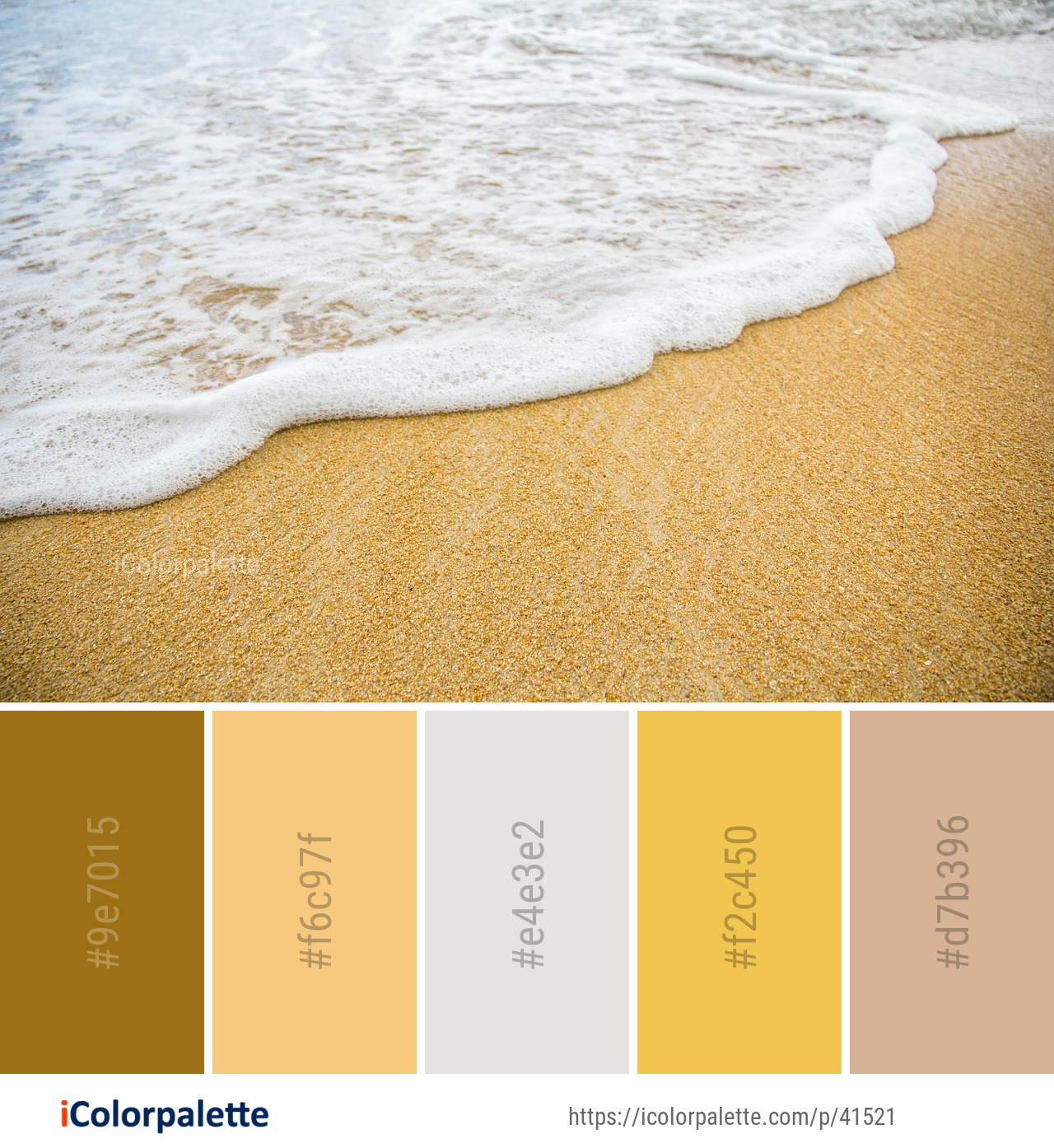 Download color palette as Pdf, Adobe swatch and more. 