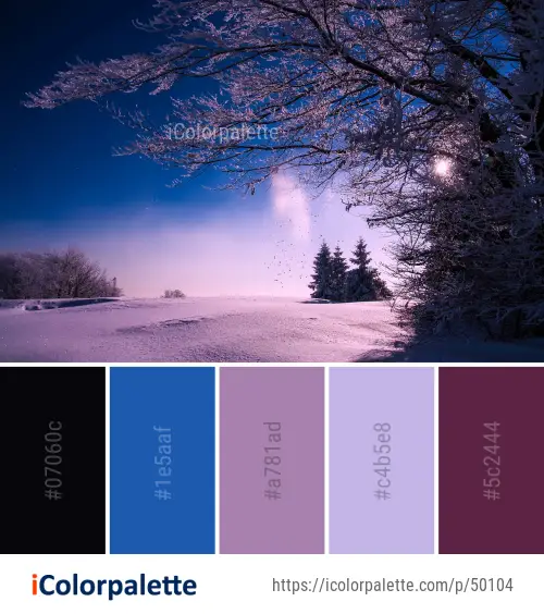 Color Palette Ideas from Winter Sky Snow Image | iColorpalette