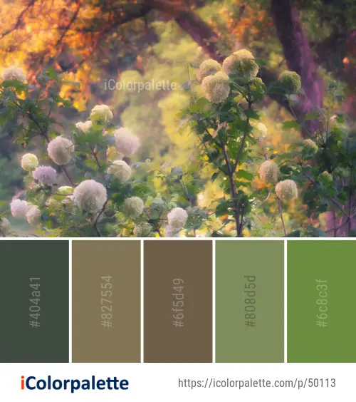 Color Palette Ideas From Nature Flower Vegetation Image Icolorpalette