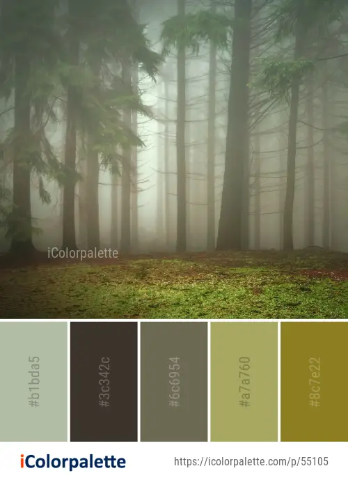 Color Palette Ideas From Ecosystem Forest Tree Image Icolorpalette