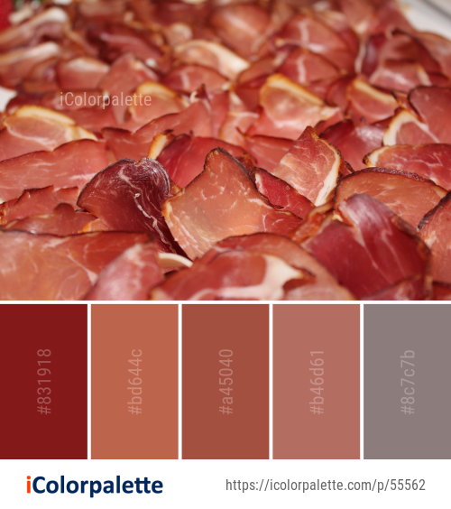 Color Palette Ideas from Meat Prosciutto Bayonne Ham Image iColorpalette