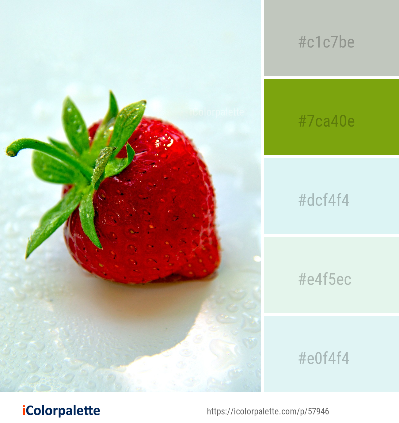 Color Palette Ideas from Strawberry Natural Foods Strawberries Image