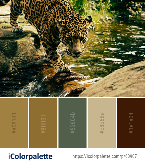 Color Palette Ideas from Jaguar Wildlife Fauna Image iColorpalette