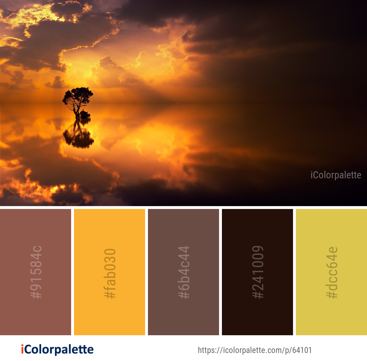 Color Palette Ideas from Sky Atmosphere Sun Image | iColorpalette