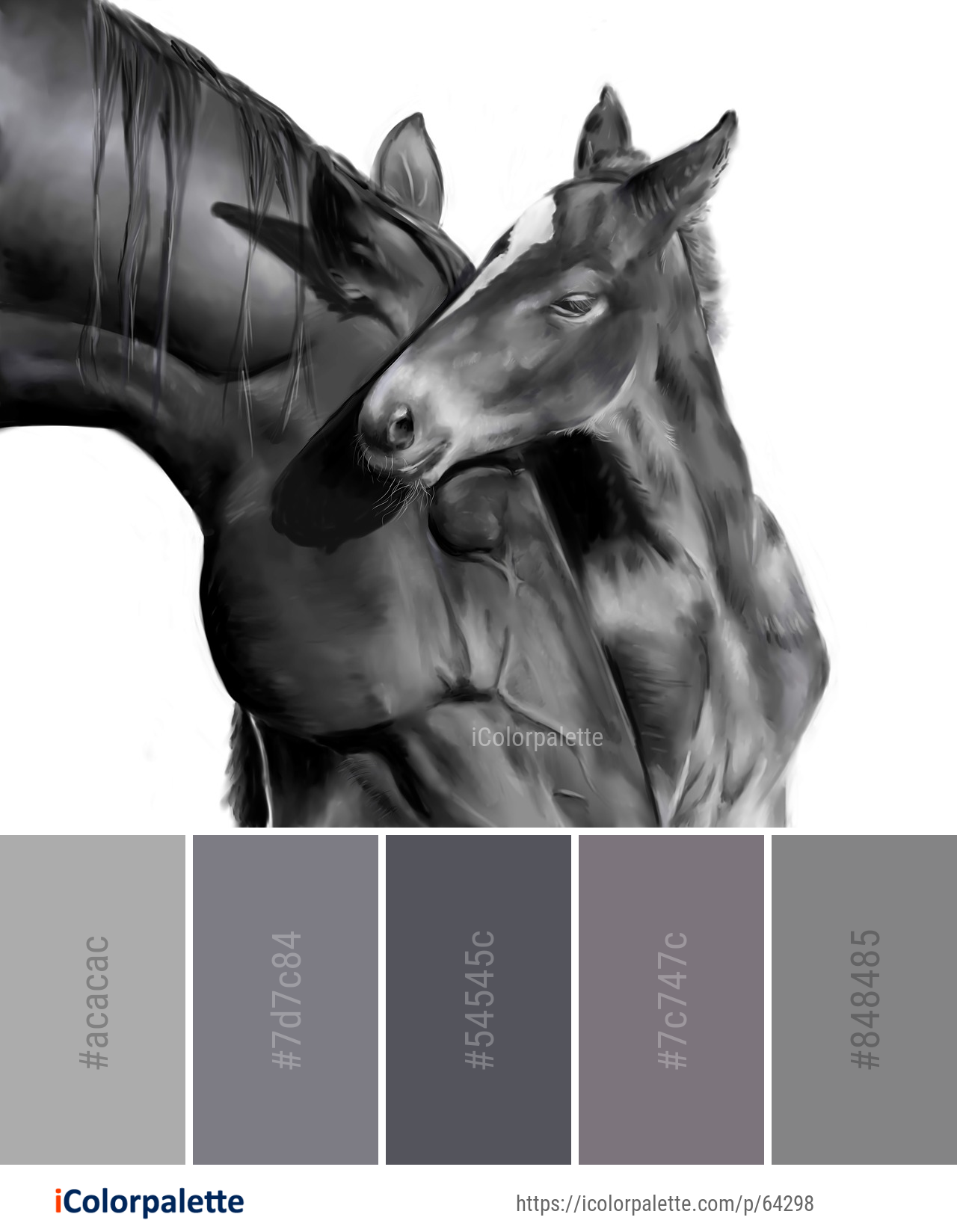 Color Palette Ideas from Horse Halter Black And White Image iColorpalette