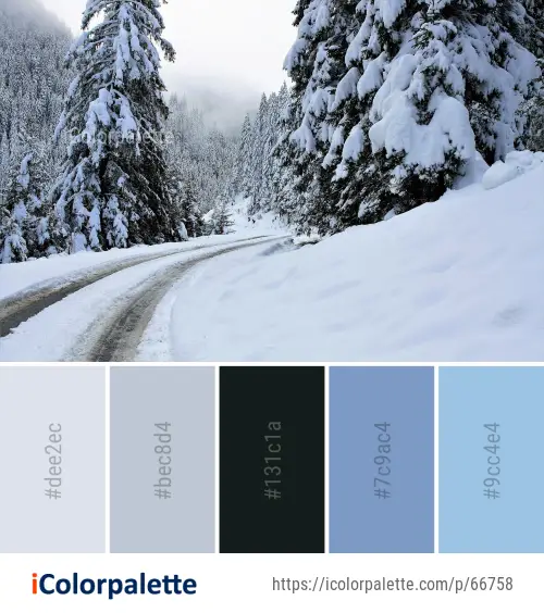Color Palette Ideas from Snow Winter Tree Image | iColorpalette