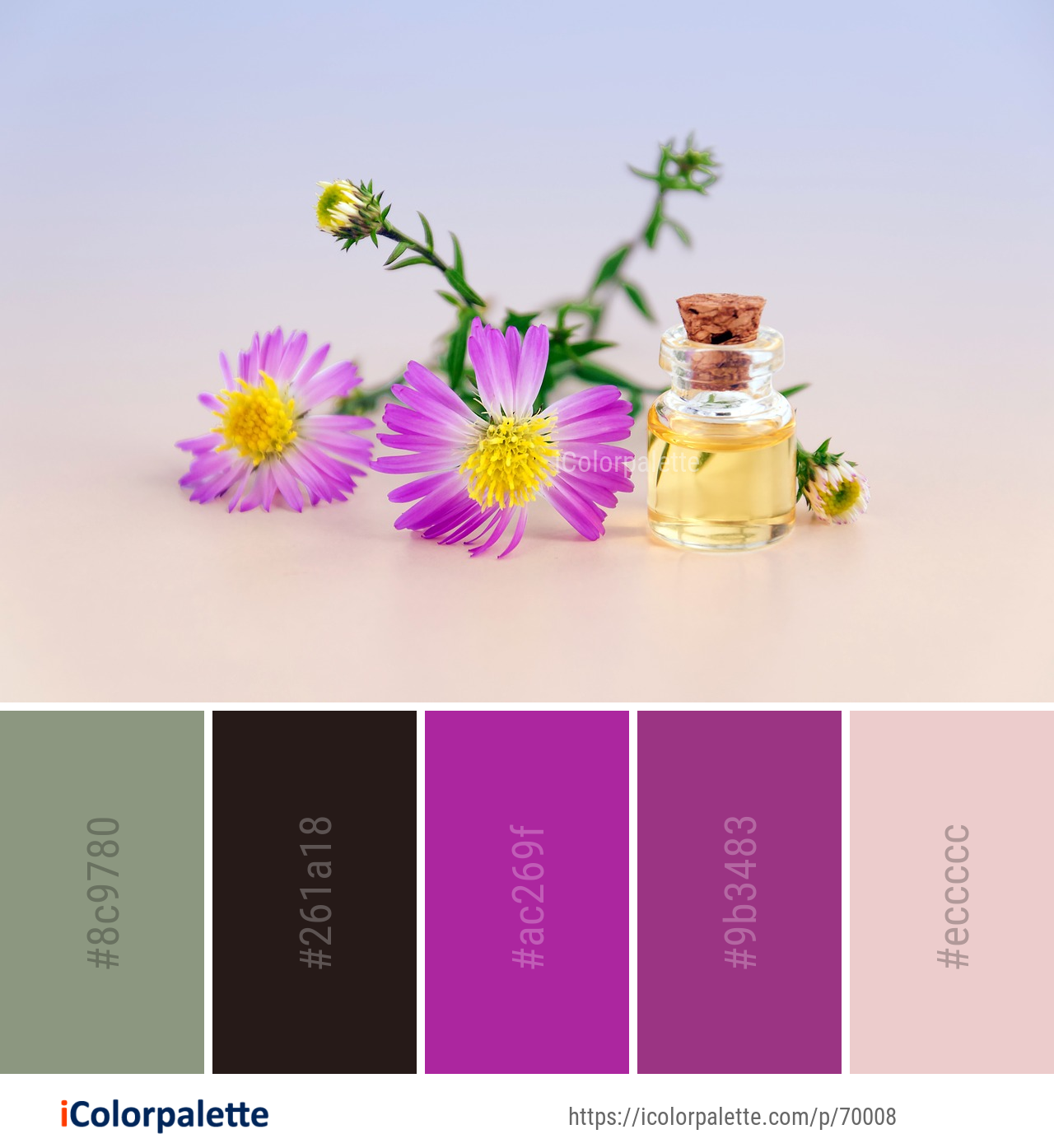 Color Palette Ideas from Flower Still Life Photography Petal Image ...