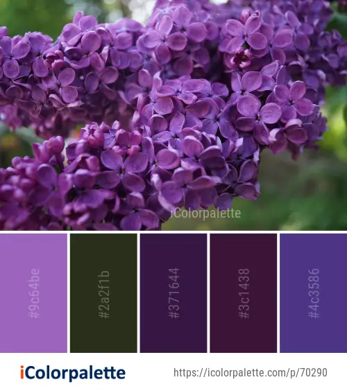 Purple ideas | Curated collection of Color Palettes