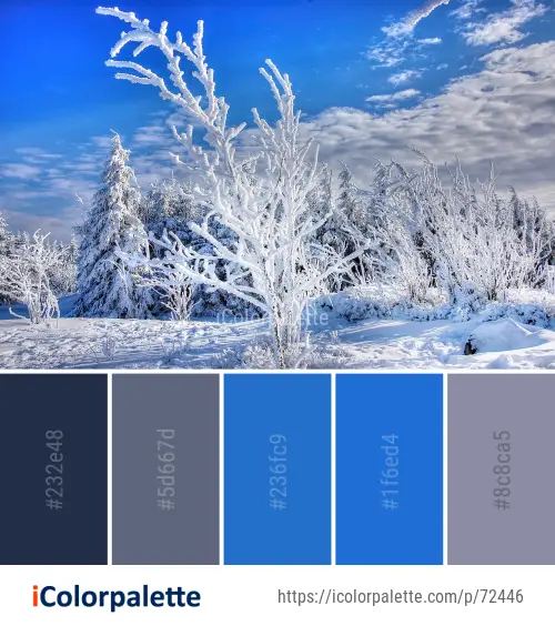 Color Palette Ideas from Winter Sky Snow Image | iColorpalette