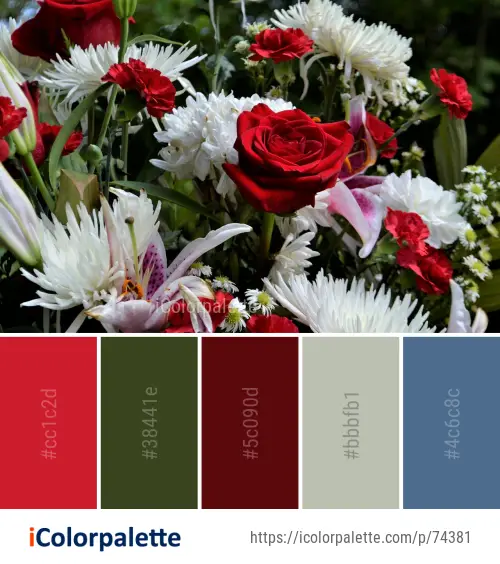 Color Palette Ideas from Flower Plant Floristry Image | iColorpalette