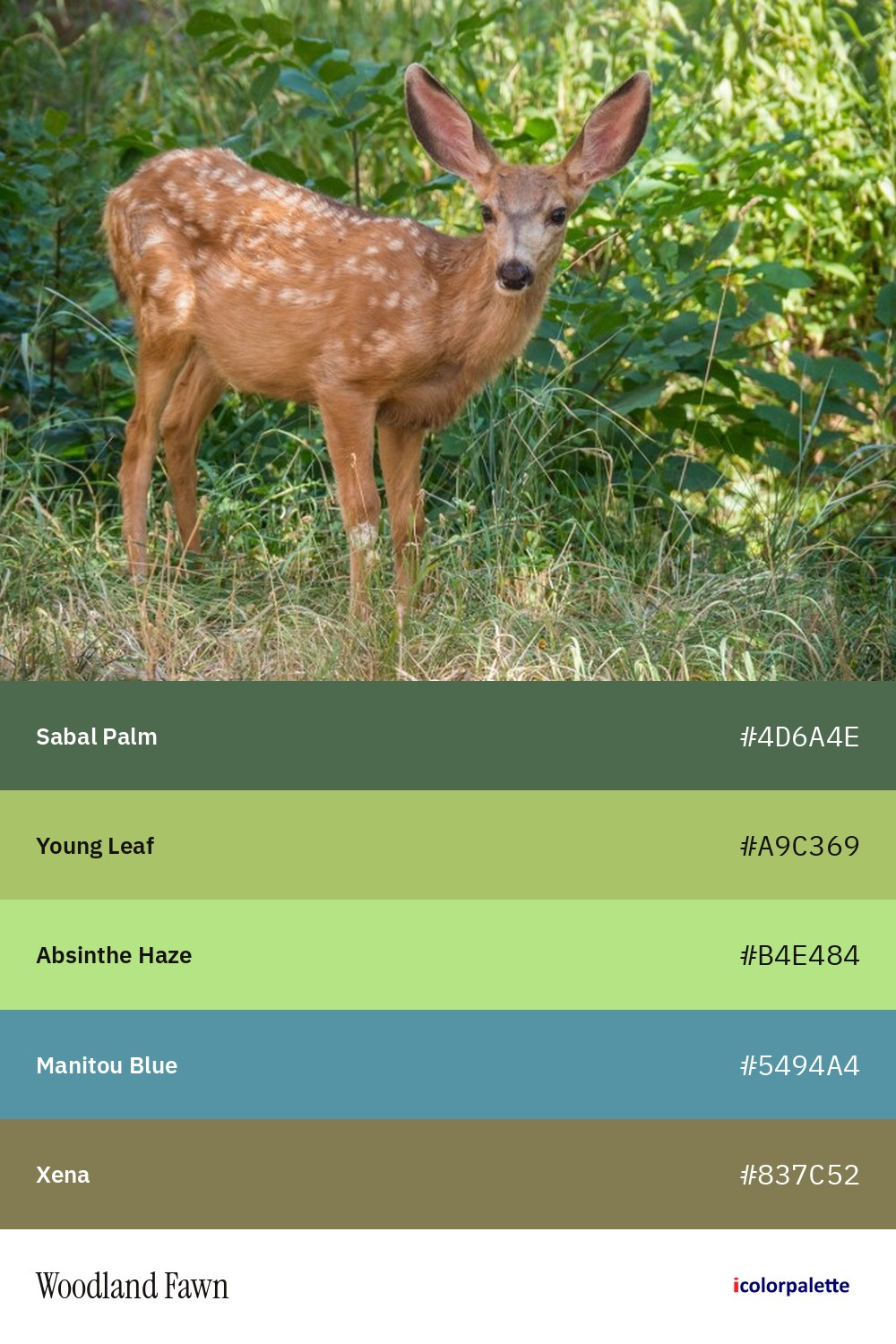 Fawn Color Palettes (6) & Hex Codes | iColorPalette