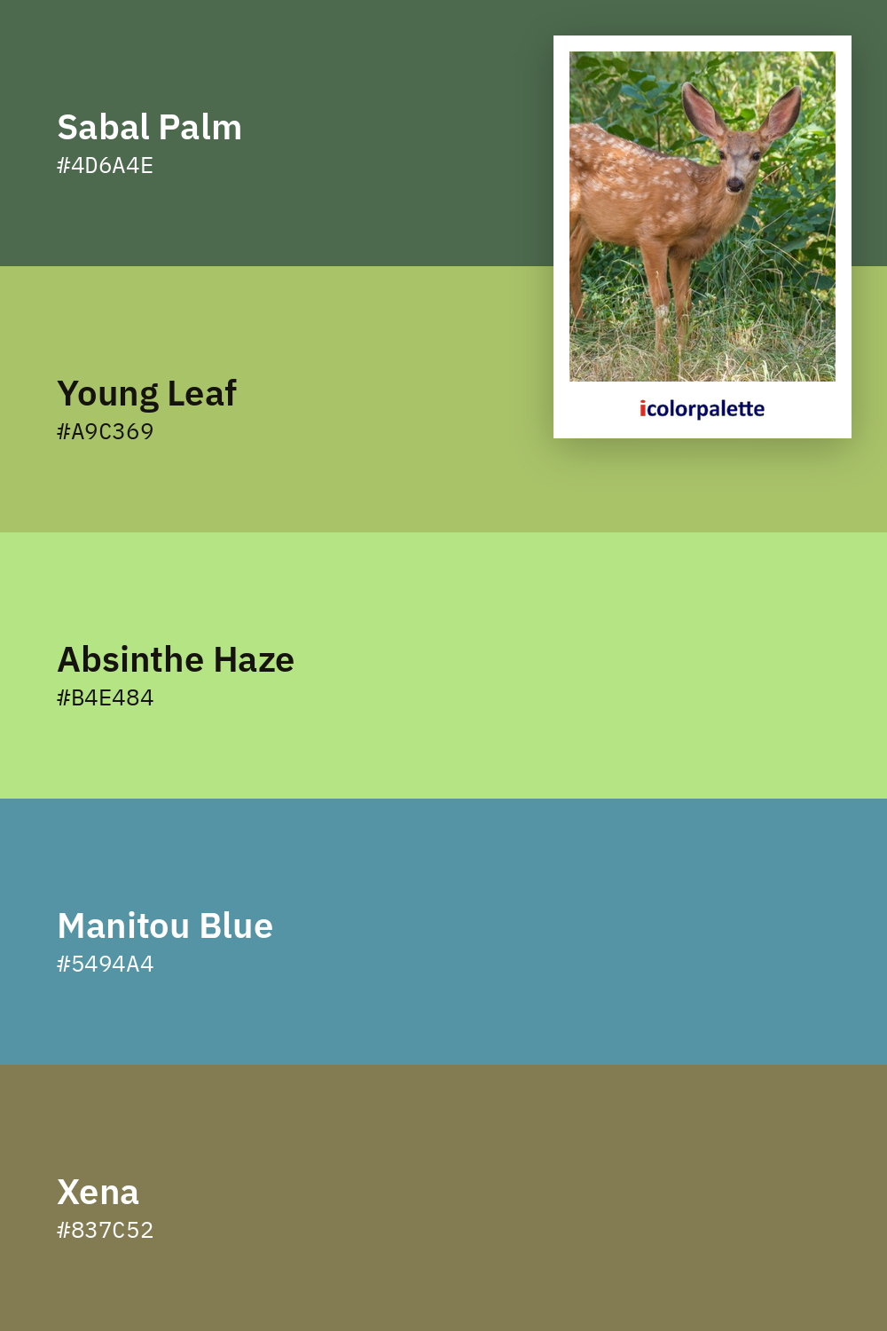 Fawn Color Palettes (6) & Hex Codes | iColorPalette
