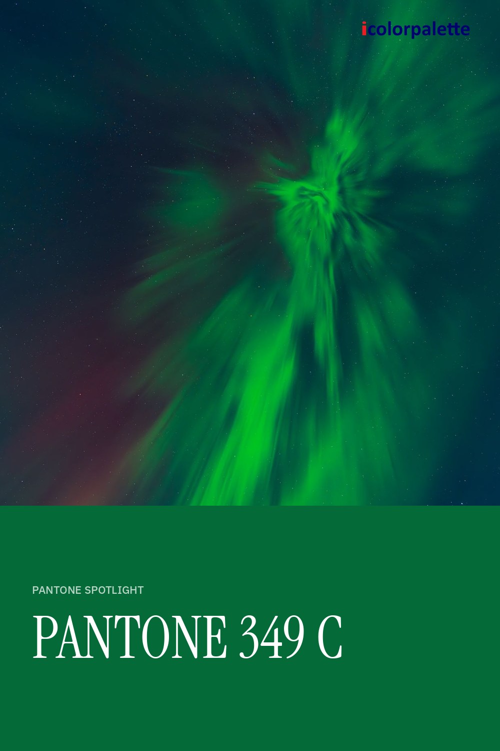 046A38 Hex Code (Universal Green Shade) — RGB, CMYK & HSL Color