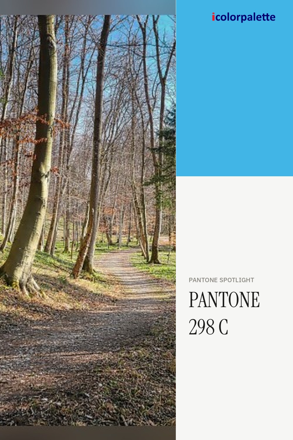 41B6E6 Hex Code (Summer Sky Shade) — RGB, CMYK & HSL Color Values