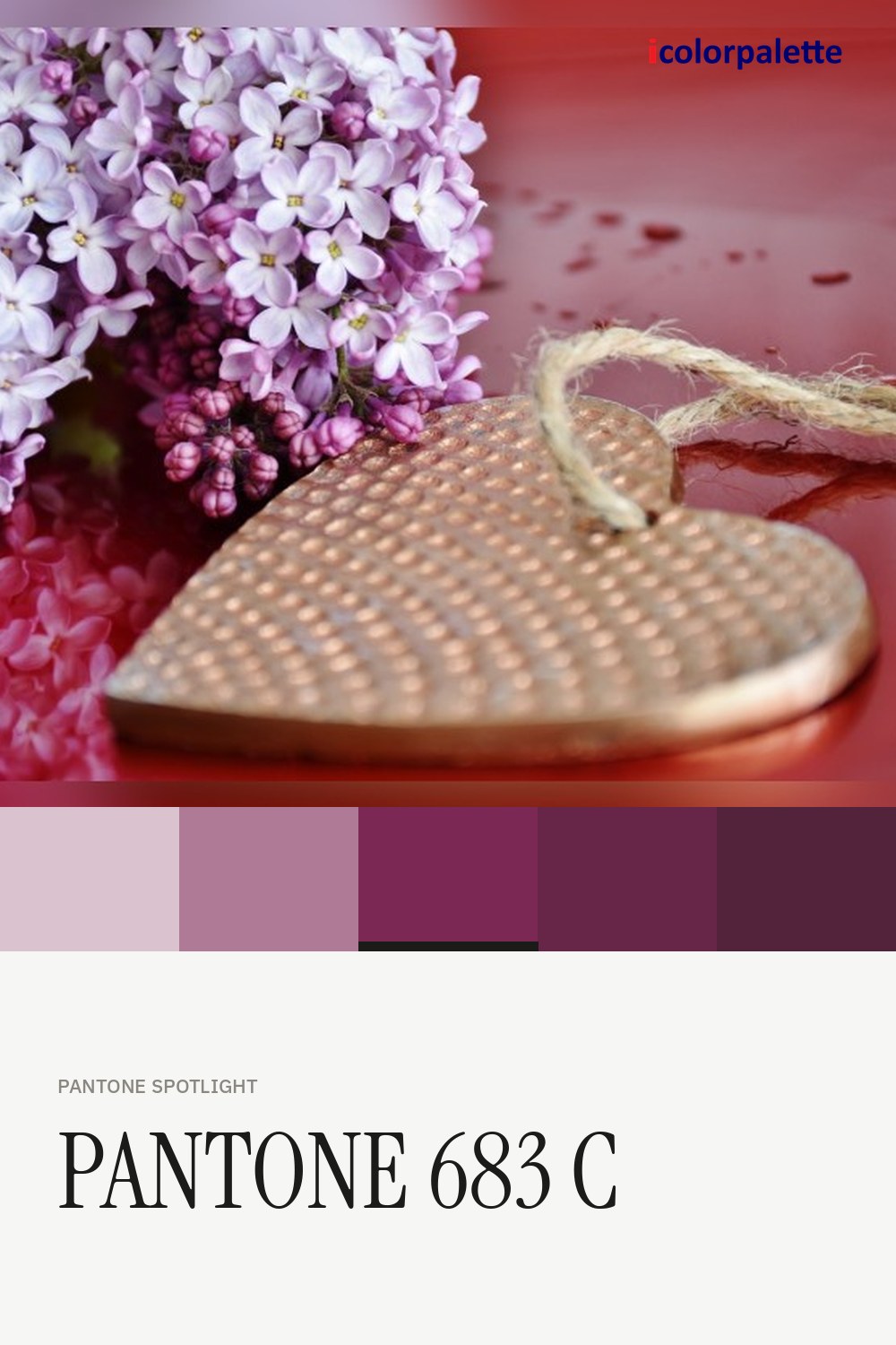 7C2855 Hex Code (Pico Eggplant Shade) — RGB, CMYK & HSL Color