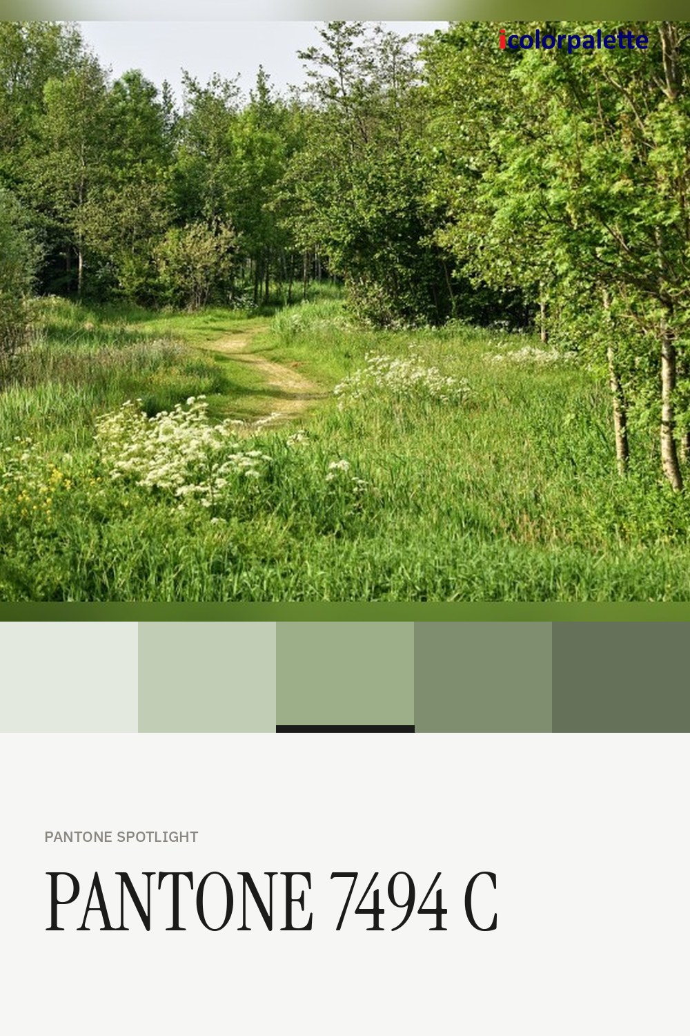 Pale Olive Color (#9CAF88) — Hex, RGB & Palettes | iColorPalette